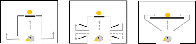 Do ecological valid stop signals aid detour performance? A comparison of four bird species.