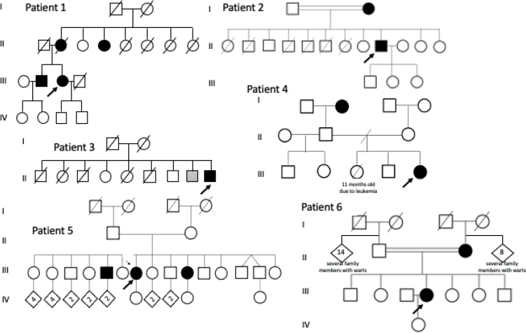 Targeting Complex Cutaneous Viral Infections in Search of Inborn Errors of Immunity.