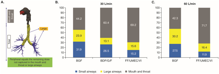 In Silico Lung Deposition Profiles of Three Single-Inhaler Triple Therapies in Patients with COPD Using Functional Respiratory Imaging.
