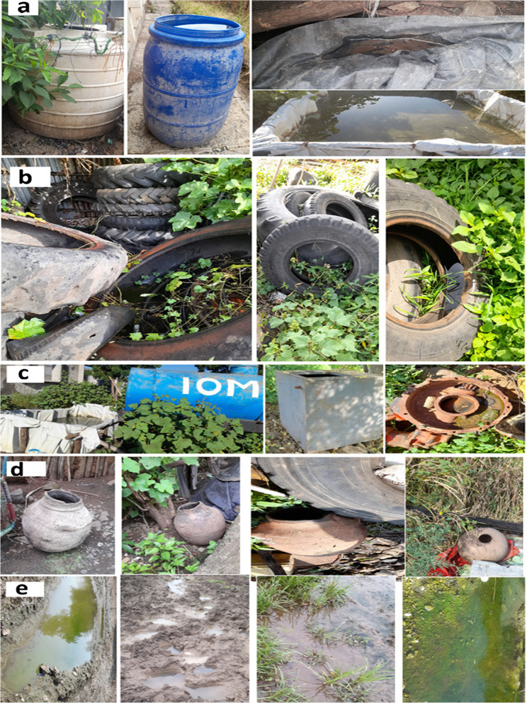 Physical and chemical characteristics of Aedes larval habitats in Metema District, Northwest, Ethiopia.