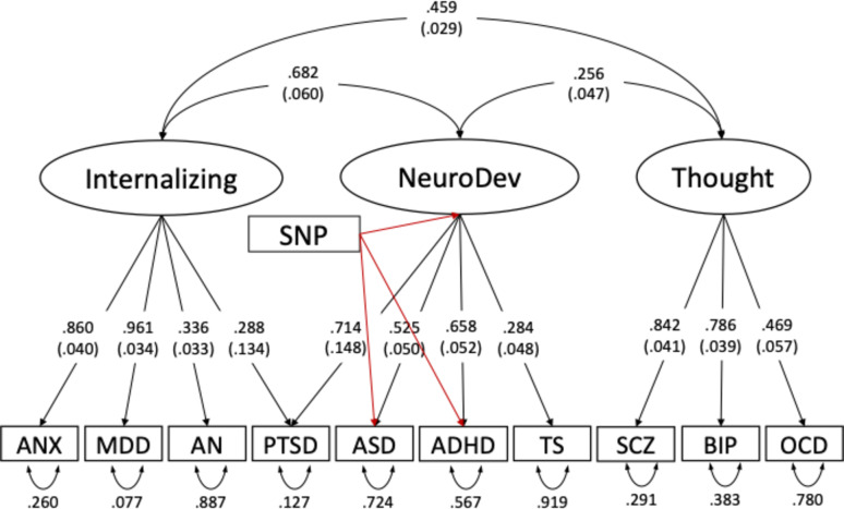 Enhancing the discriminatory power of polygenic scores for ADHD and autism in clinical and non-clinical samples.