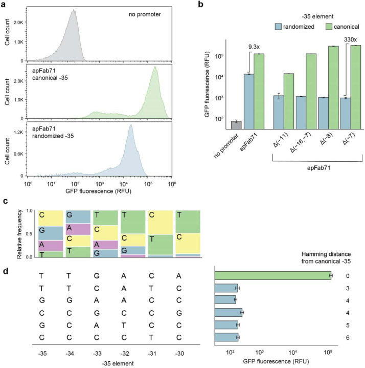 Computation-guided redesign of promoter specificity of a bacterial RNA polymerase.