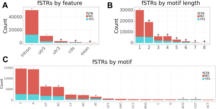 Short tandem repeat variants are possibly associated with RNA secondary structure and gene expression.