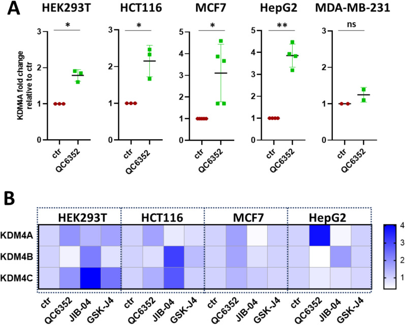 Epigenetic editing and epi-drugs: a combination strategy to simultaneously target KDM4 as a novel anticancer approach.