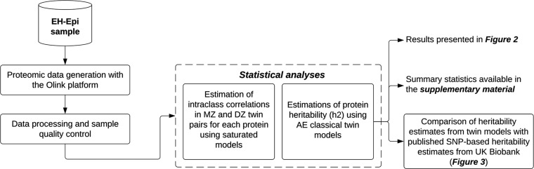 Twin Study Provides Heritability Estimates for 2321 Plasma Proteins and Assesses Missing SNP Heritability.