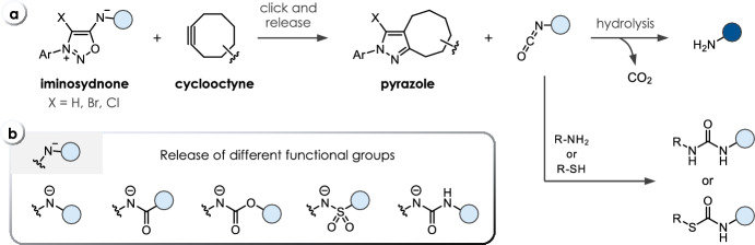 Click-Triggered Bioorthogonal Bond-Cleavage Reactions