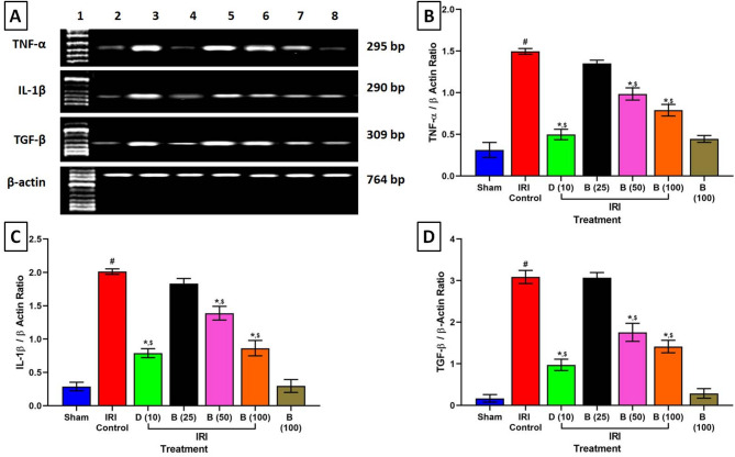 Bisacurone ameliorates myocardial ischemia/reperfusion injury in rats: regulation of inflammatory and apoptosis pathways via CHOP/GRP78 proteins.
