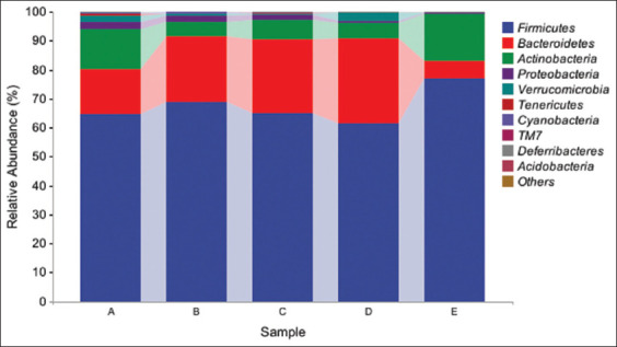 Dose-dependent effects of capsaicin on intestinal morphology and microbiota composition in mice: Structural, immunohistochemical, and microbial insights.