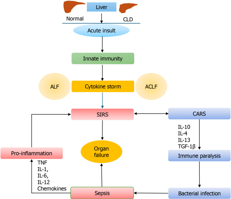 Sepsis in liver failure patients: Diagnostic challenges and recent advancements.