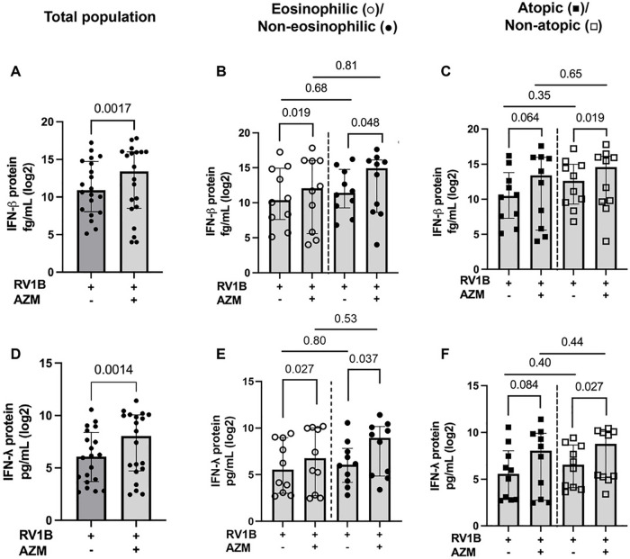 Effects of <i>in vitro</i> azithromycin treatment on bronchial epithelial antiviral immunity in asthma phenotypes.