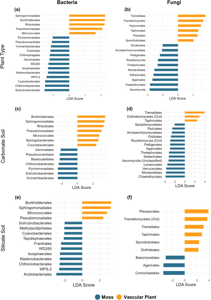 Mosses as extraordinary reservoir of microbial diversity: a comparative analysing of co-occurring 'plant-moss twins' in natural alpine ecosystem.
