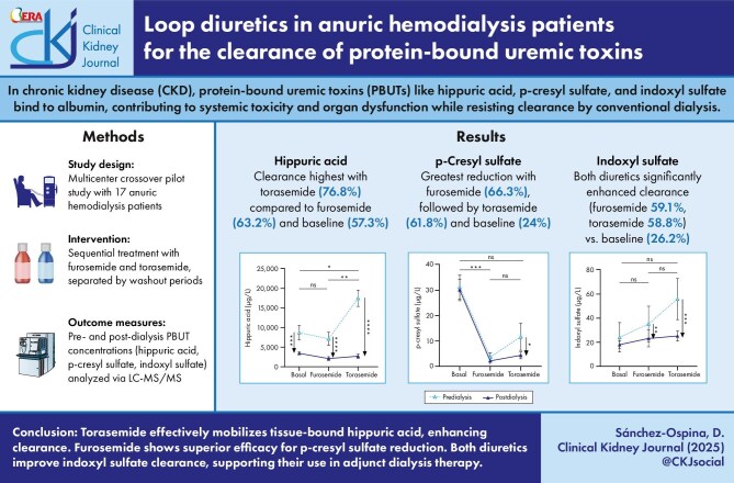 Loop diuretics in anuric hemodialysis patients for the clearance of protein-bound uremic toxins.