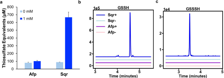 Development of a Transcriptional Biosensor for Hydrogen Sulfide That Functions under Aerobic and Anaerobic Conditions.