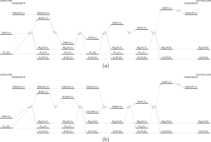 Thermodynamic free energy map for the non-oxidative glycolysis pathways.