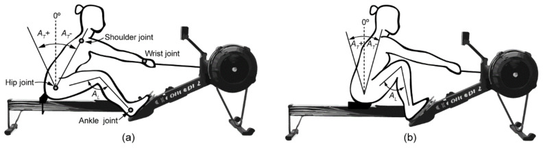 Kinematic Analysis of Olympic and Traditional Rowing Mechanics at different Stroke Rates.