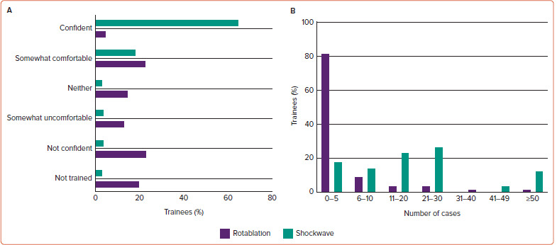 Evaluation of the UK Intervention Subspecialty Programme: The Trainees' Experience.