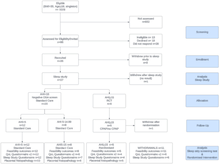 Continuous positive airway pressure versus usual care for obstructive sleep apnoea in pregnancy: a two-step pilot trial.