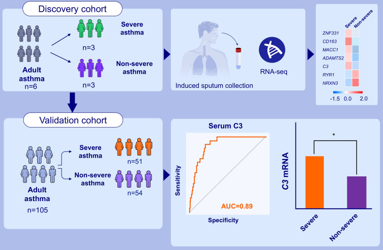 Induced Sputum Transcriptomics Profile and Serum C3 are Associated with Asthma Severity.