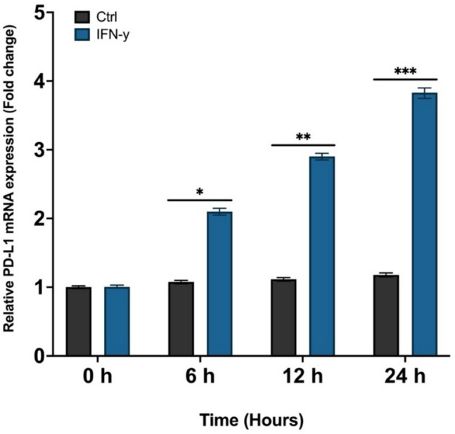 Curcumin inhibits IFN-γ induced PD-L1 expression via reduction of STAT1 Phosphorylation in A549 non-small cell lung cancer cells.