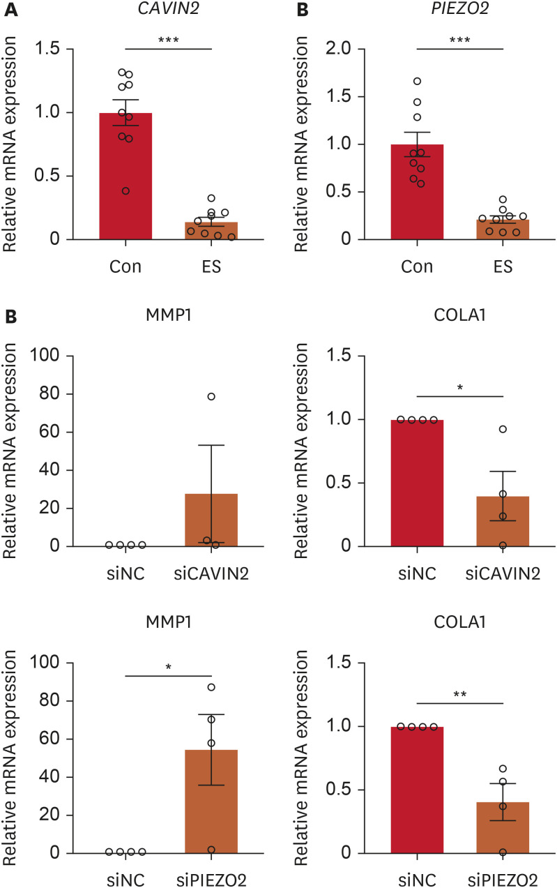 Electrical Stimulation Using a Low-Frequency and Low-Intensity Alternating Current Modulates Type I Procollagen Production and MMP-1 Expression in Dermal Fibroblasts.