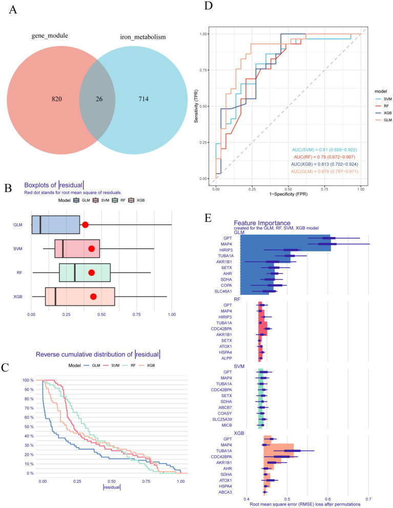 Integrative bioinformatics and machine learning identify iron metabolism genes MAP4, GPT, and HIRIP3 as diagnostic biomarkers and therapeutic targets in Alzheimer's disease.