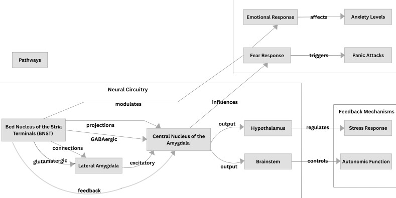Fear Circuits in Panic Disorder: An Update.