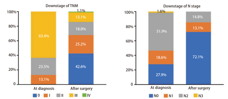 [Analysis of Efficacy and Safety of Neoadjuvant Immunochemotherapy in Patients with Stage IB-IIIB Non-small Cell Lung Cancer].