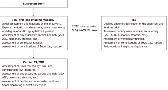 Diagnosis and treatment options for sinus of Valsalva aneurysms: A narrative review.
