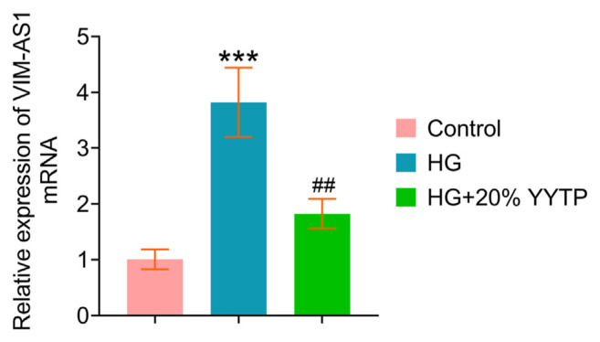 Yiqi Yangyin Tongluo prescription targets lncRNA VIM-AS1 to regulate FOXK2/mTOR to promote autophagy and inhibit renal tubular epithelial cell apoptosis.