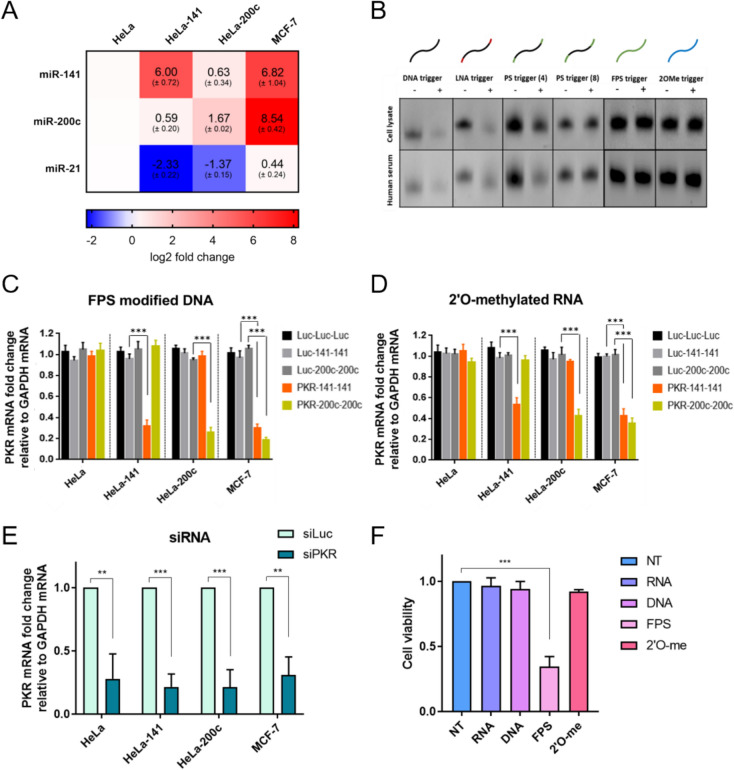 Self-modulating therapeutic platform using engineered miRNA-responsive oligonucleotides
