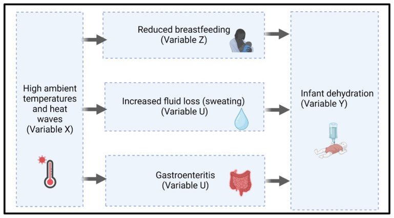 Study protocol for the Bio-HEAT study: Investigating the Biological pathways from HEAT exposure to preterm birth and other adverse maternal and child health outcomes in South Africa.