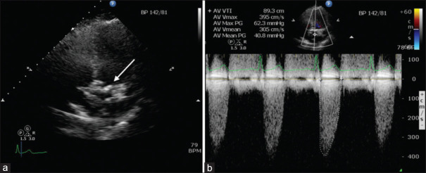 Clinics in diagnostic imaging (223).