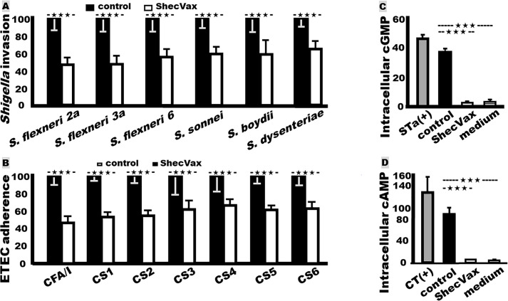 Immunogenicity and preclinical efficacy characterization of ShecVax, a combined vaccine against <i>Shigella</i> and enterotoxigenic <i>Escherichia coli</i>.