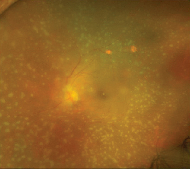 Abstract Image