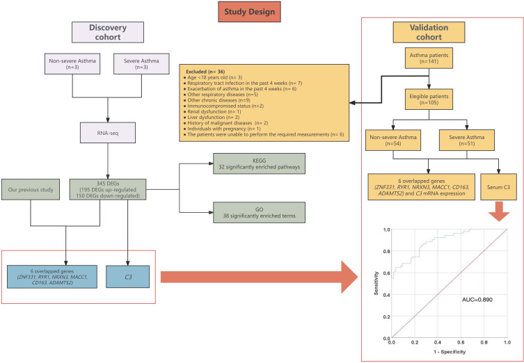 Induced Sputum Transcriptomics Profile and Serum C3 are Associated with Asthma Severity.