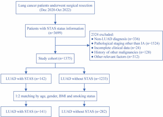 CT feature-based nomogram for predicting tumor spread through air spaces in stage IA lung adenocarcinoma.