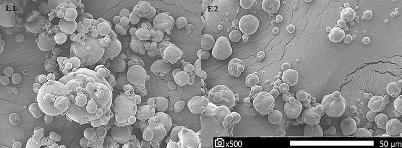 Microencapsulation of fish oil by spray-drying using two different wall materials: a comparison.