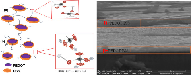 Solvent free spray coated n type PEDOT PSS thin film for high performance homojunction diode.