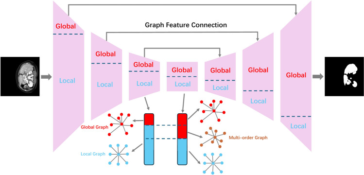 GNNs surpass transformers in tumor medical image segmentation.