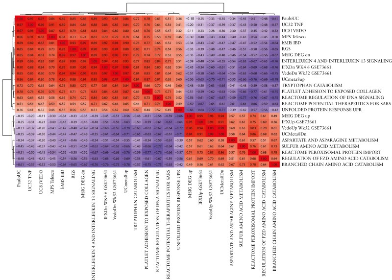 Metabolism and response to stress gene signatures reveal ulcerative colitis heterogeneity and identify patients with increased response to therapy.