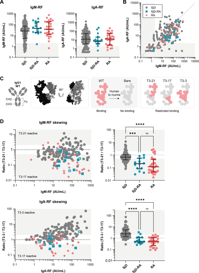 Different rheumatoid factor binding patterns distinguish between Sjögren's disease with or without associated RA.