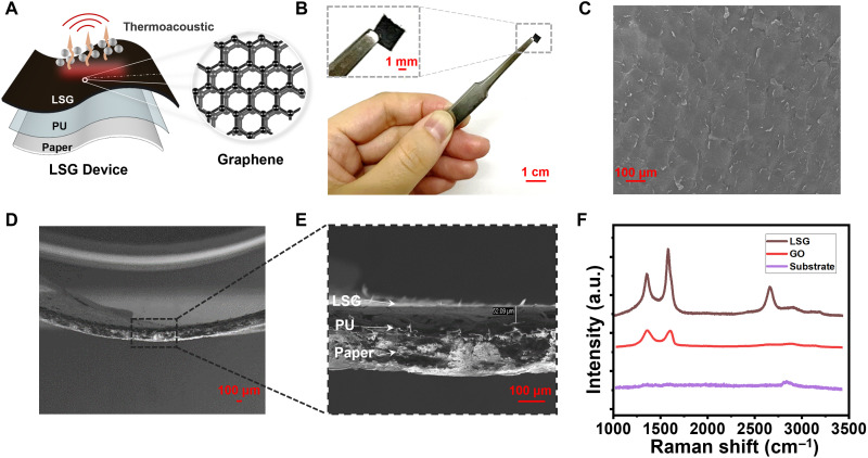 Frequency-tunable sound amplification in a conch-like cavity with graphene thermoacoustic resonance.