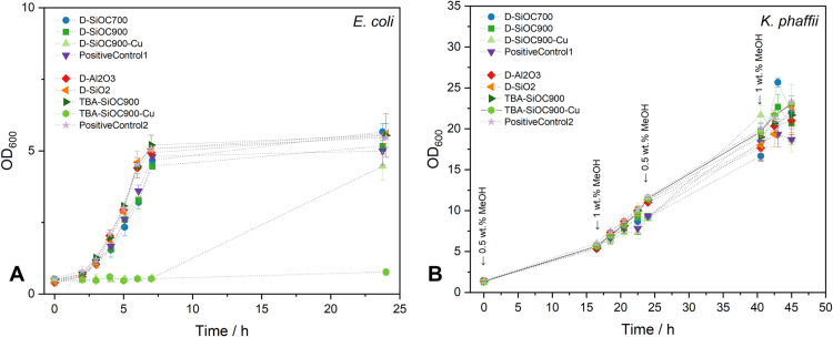 Freeze-cast SiOC ceramics supporting the growth of industrially relevant microorganisms.