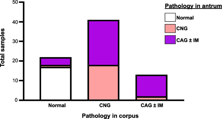 Patterns of sialyl-Lewis X expression predict gastric histopathology.