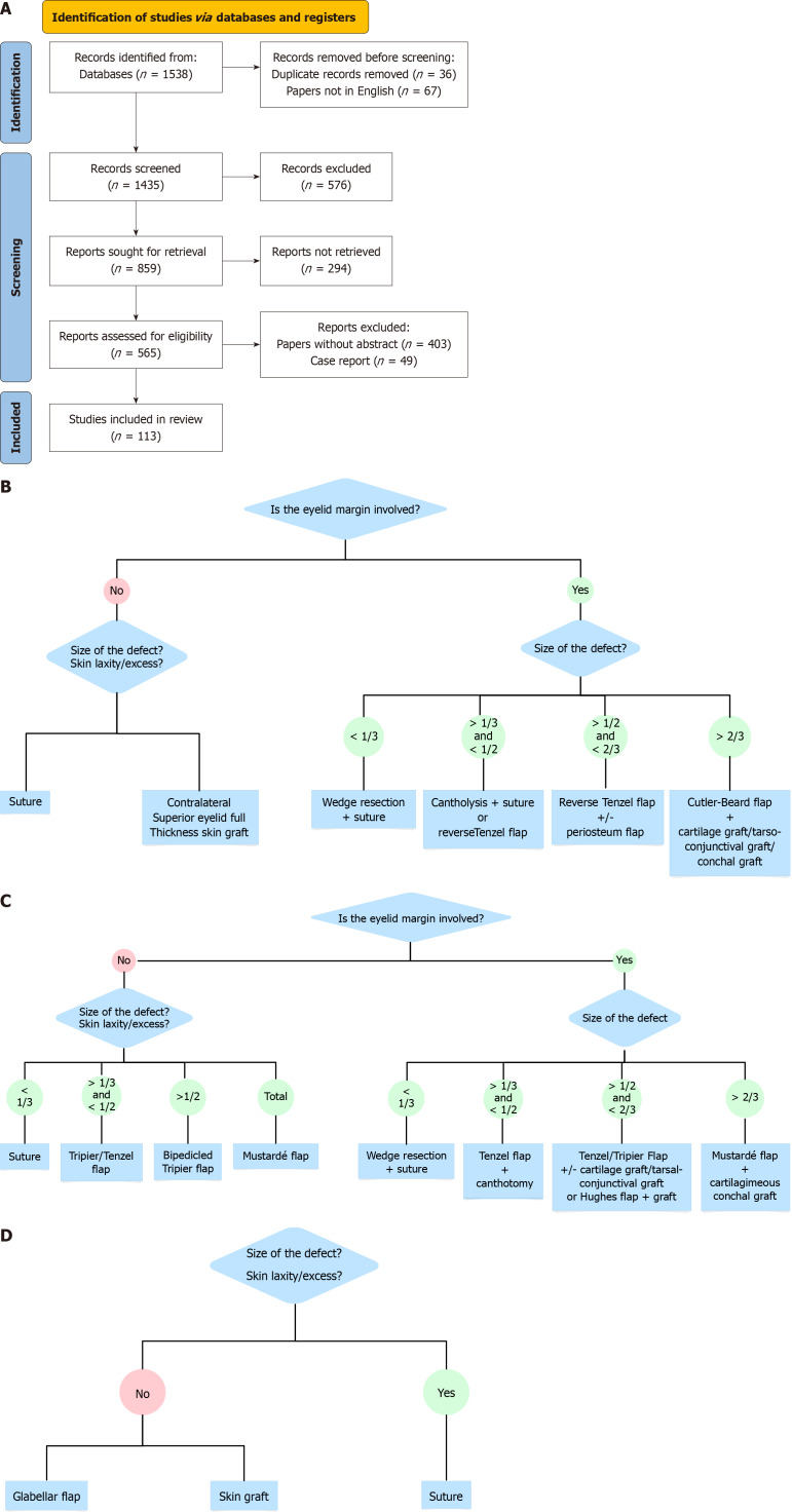 Development and validation of a decision algorithm for eyelid reconstruction following oncological resection.