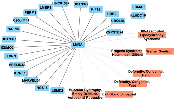 Universal multilayer network embedding reveals a causal link between GABA neurotransmitter and cancer.