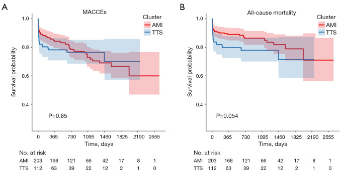 Comparison of clinical features and outcomes of Chinese patients with Takotsubo syndrome and acute myocardial infarction-results from the first Chinese Takotsubo syndrome registry.