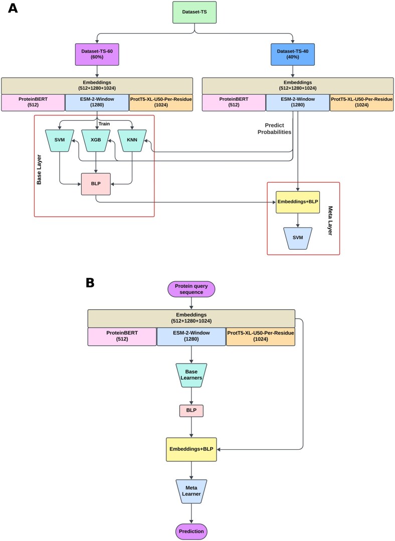 StackGlyEmbed: prediction of N-linked glycosylation sites using protein language models.