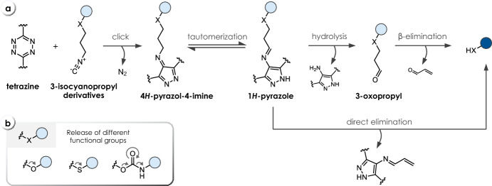 Click-Triggered Bioorthogonal Bond-Cleavage Reactions