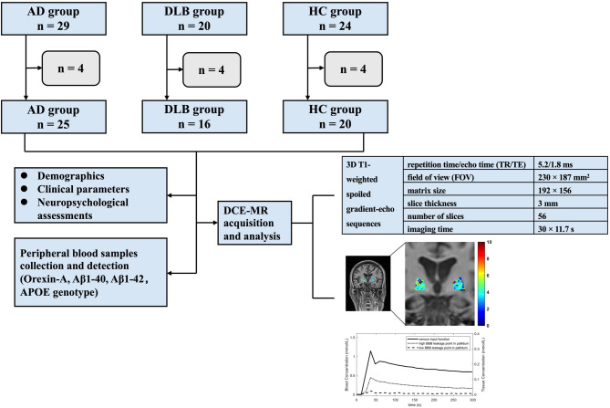 Potential role of Amyloid-β on the association between Orexin-A and blood-brain barrier leakage of globus pallidus in Alzheimer's disease and dementia with lewy bodies.
